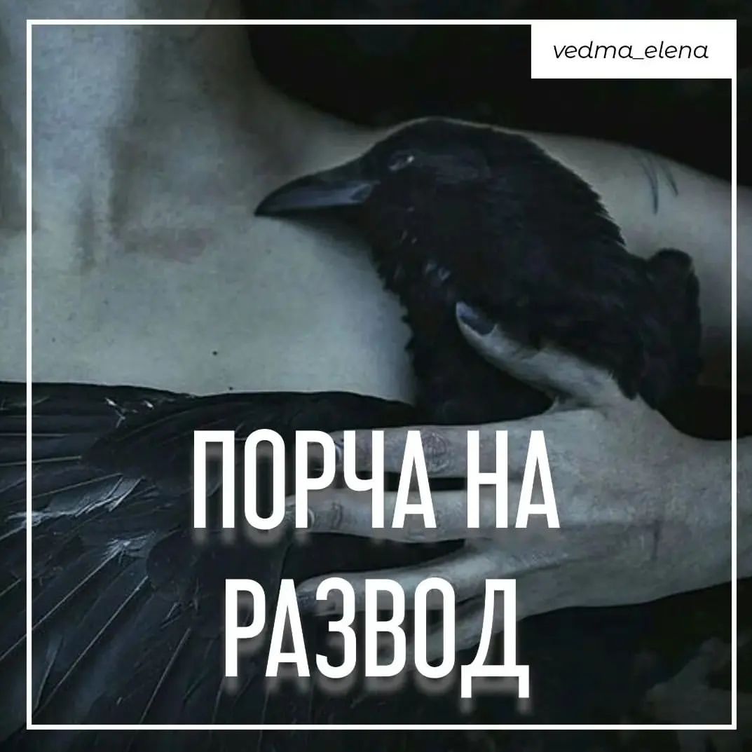 Порча на развод разобьет даже саму крепкую семейную пару. Развод произойдёт быстро и без шансов к воссоединению супругов. 
 
#отворотнапару #отворотпофото #отворотсоперницы #отворотлюбовницы #отворотжены #отворотмужа #приворотнамужа #приворотмужа #приворотпофото #приворотмужчины #приворотпофото #приворотпофотографии #рассорка #рассоркапофотографии #рассоркапофото #отворотнавсегда #ледянаяостуда #остудаотношений #остудаотсоперницы #приворотмосква #приворотвмоскве #приворотсанктпетербург #приворотсамара #привороткрасноярск #привороттюмень #приворотвладивосток #порчанаотношения #порчанаказание #порчапофотографии #порчабыстрая #сильныйприворот