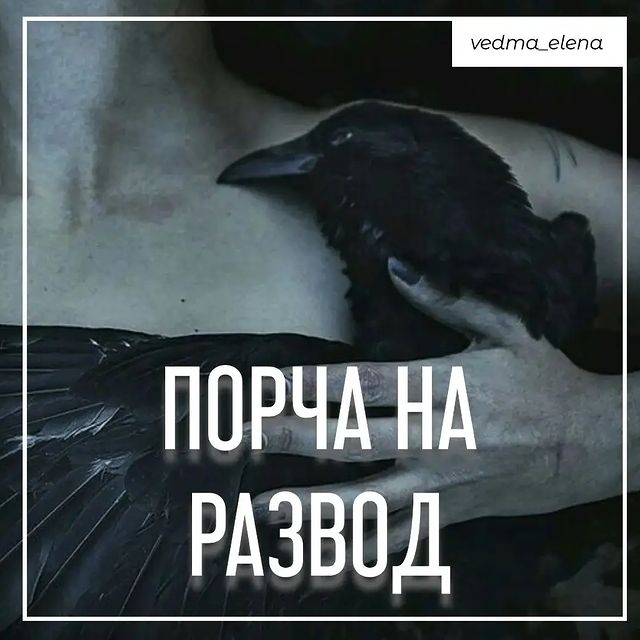 vedma_elena в LOOKY. #отворотнапару,#отворотпофото,#отворотсоперницы,#отворотлюбовницы,#отворотжены,#отворотмужа,#приворотнамужа,#приворотмужа,#приворотпофото,#приворотмужчины,#приворотпофото,#приворотпофотографии,#рассорка,#рассоркапофотографии,#рассоркапофото,#отворотнавсегда,#ледянаяостуда,#остудаотношений,#остудаотсоперницы,#приворотмосква,#приворотвмоскве,#приворотсанктпетербург,#приворотсамара,#привороткрасноярск,#привороттюмень,#приворотвладивосток,#порчанаотношения,#порчанаказание,#порчапофотографии,#порчабыстрая,#сильныйприворот. Порча на развод разо...