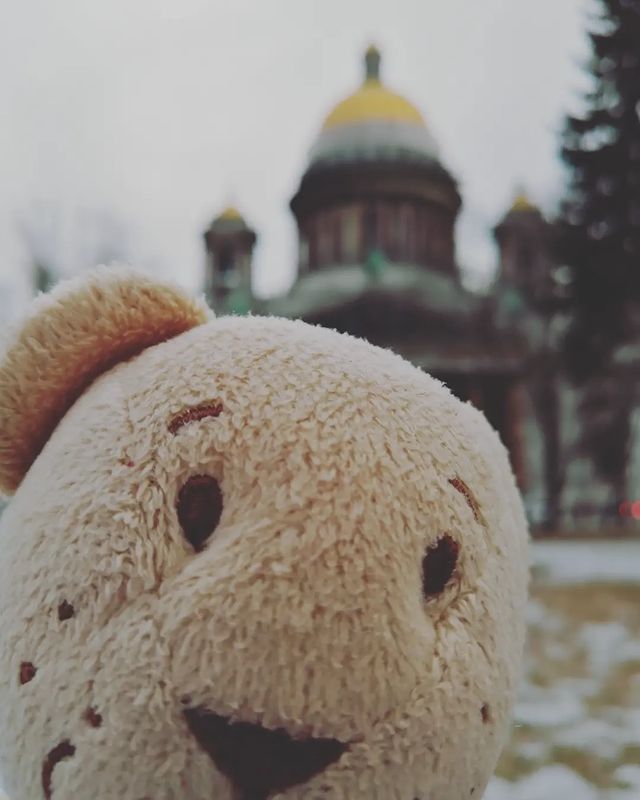 nmelnik001 в LOOKY. #buddy. Привет, сейчас #budd...