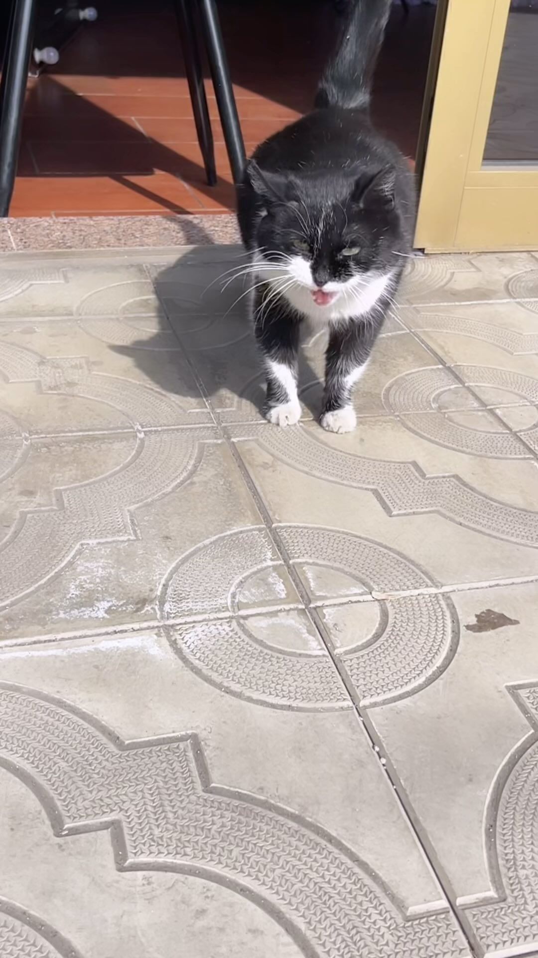 Бойцова Ника Андреевна в LOOKY. . null
