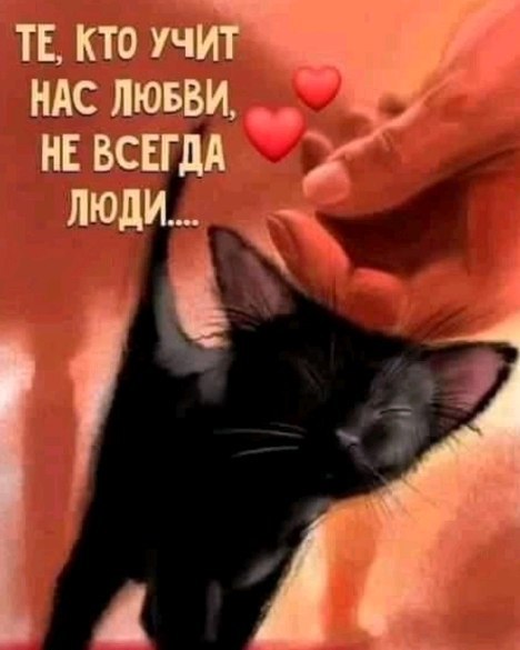 kosichka_fip в LOOKY. #kosichka_fip. 2 года без тебя........