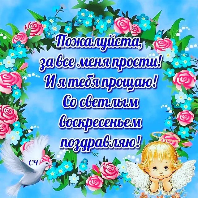 yulya.chusova в LOOKY. . Прошу простить кого ...