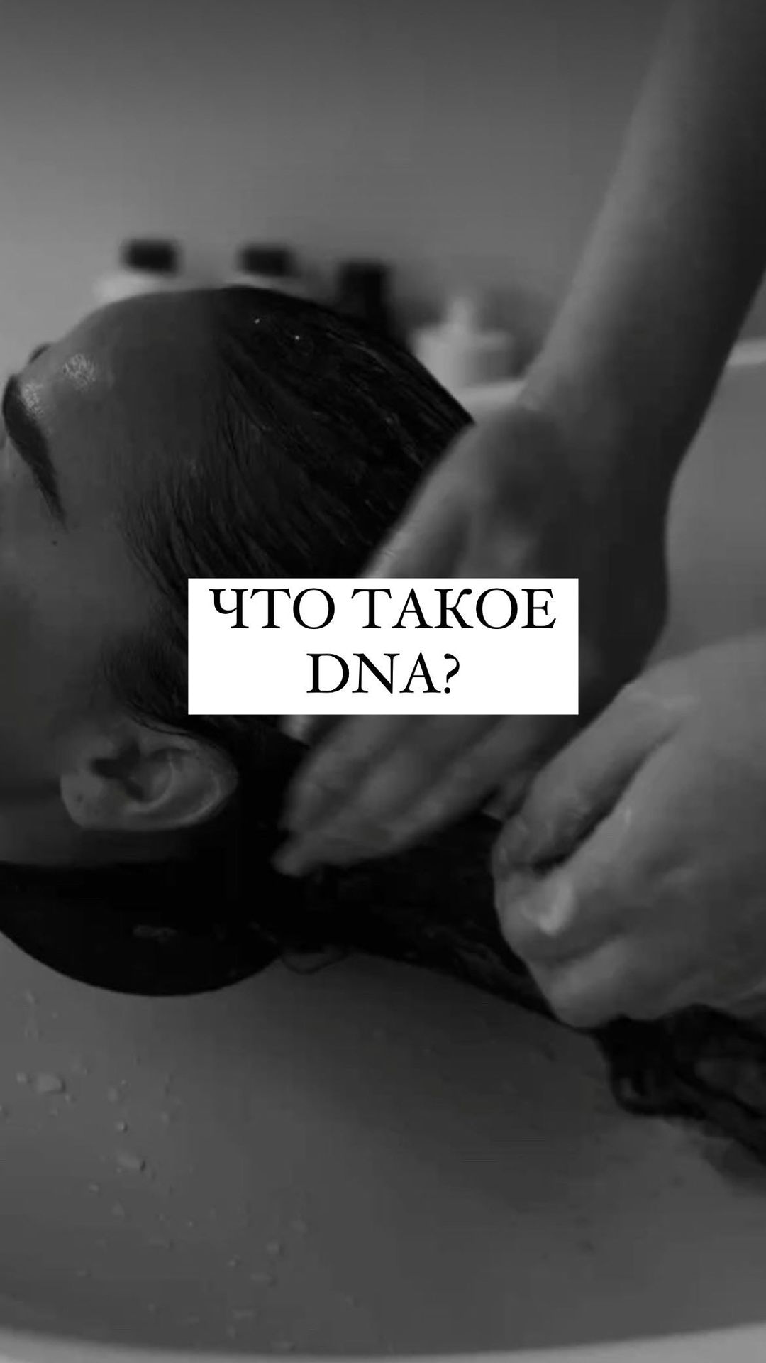 studio_nelvika в LOOKY. . DNA - создан для вну...