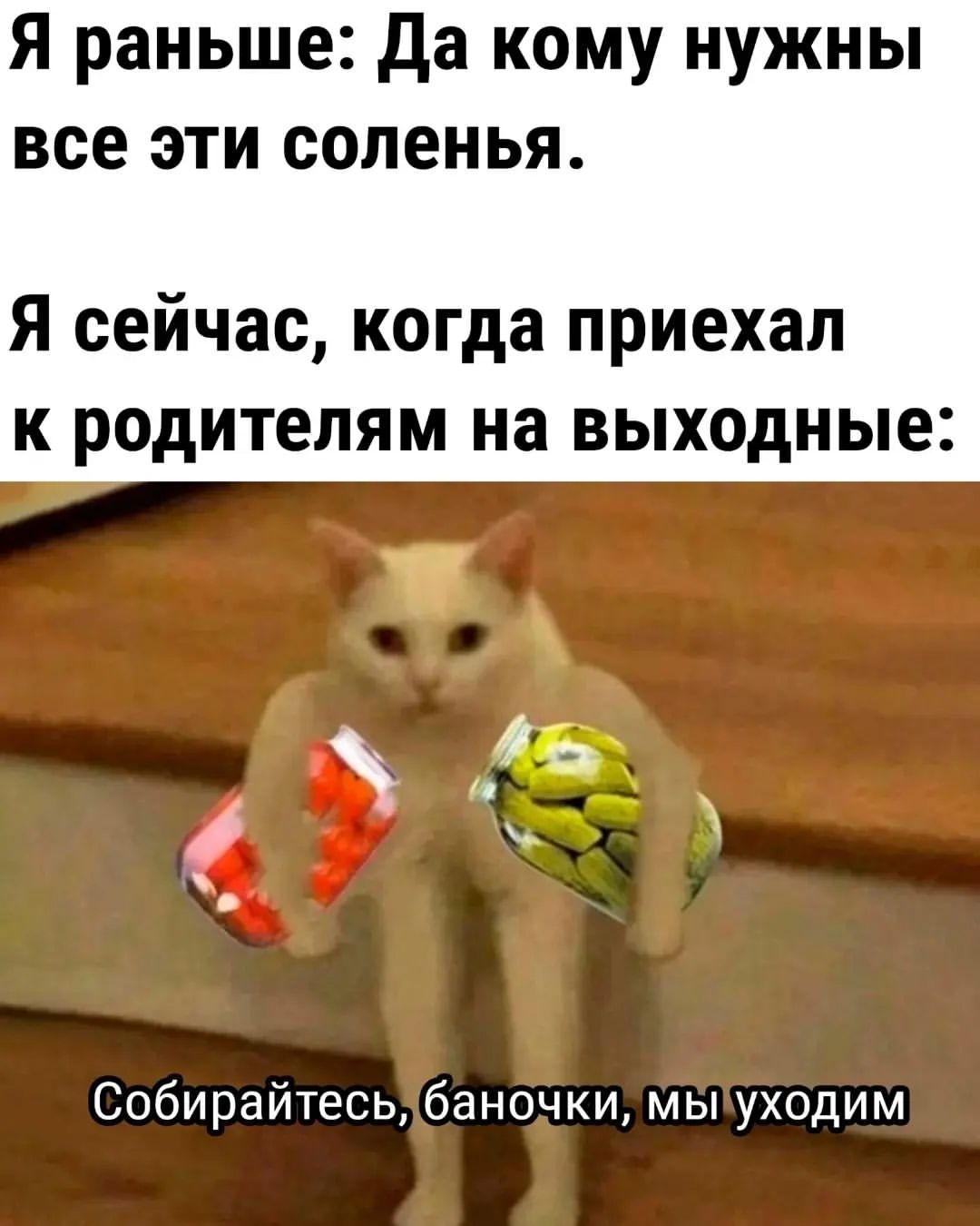#соленья#баночки#кот#собираемсядомой