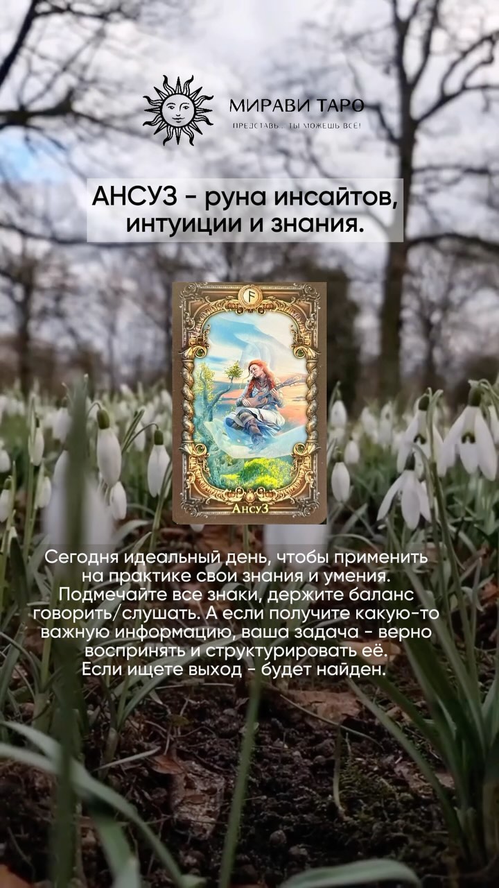 РУНЫ • ЧИСТКИ • РИТУАЛЫ • ТАРО в LOOKY. . АНСУЗ.

Сегодня зада...