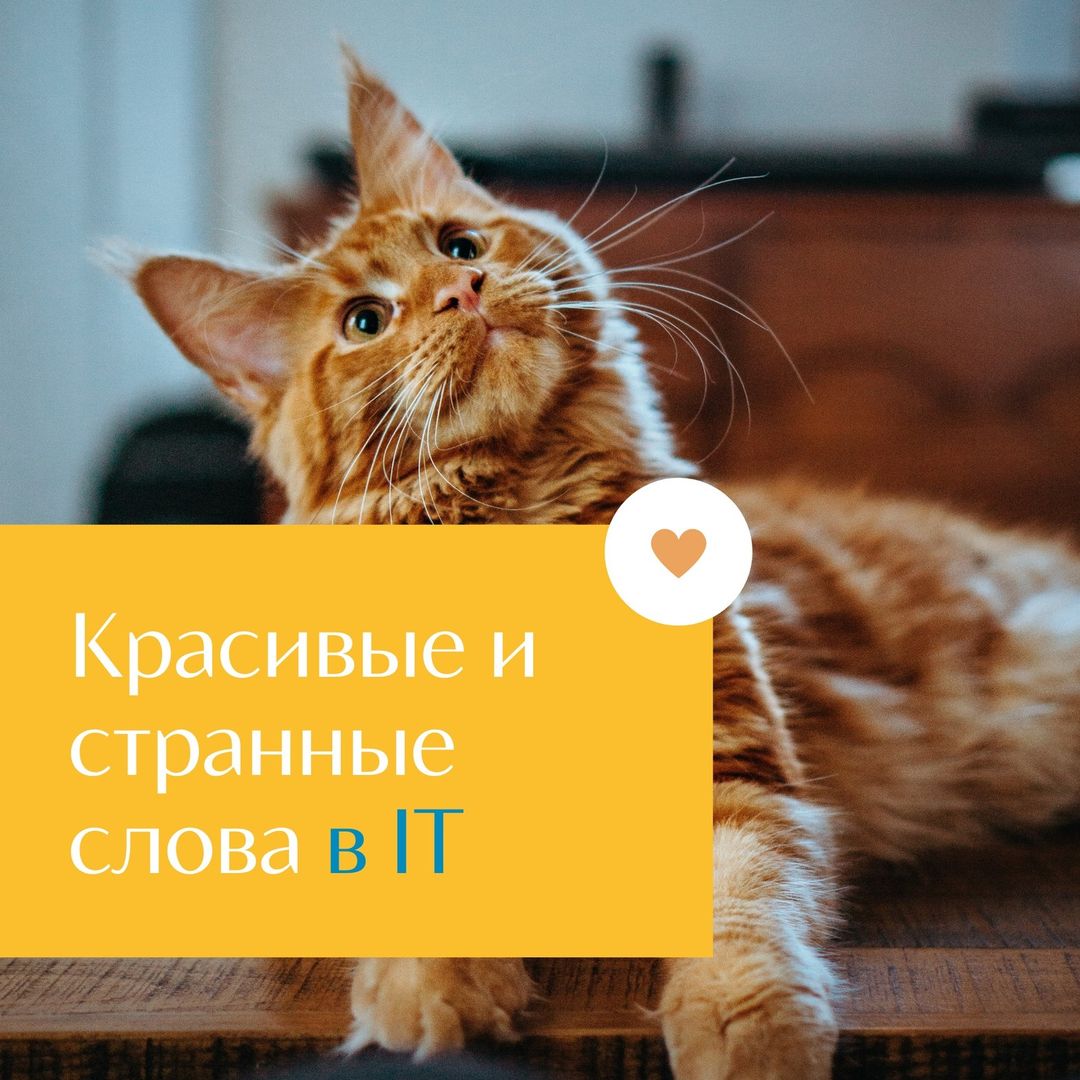 🧲 Глитч (glitch) - баг, глюк.

🧲 Краш (crush) – сбой.

🧲 Sophisticated |səˈfɪstɪkeɪtɪd| – сложный.

🧲 Скелетон (skeleton) - базовая структура или шаблон программного кода, который можно использовать в качестве основы для разработки новых приложений или компонентов.

🧲 Умный контракт (smart contract) - компьютерный протокол, который автоматизирует и выполняет соглашения или контракты напрямую между сторонами без посредничества.

🧲 Облачные вычисления (облачные вычисления) - модель предоставления услуг, при которой вычислительные ресурсы (серверы, хранилище данных) доступны через интернет и масштабируются в соответствии с потребностями пользователя.

🧲 Виртуализация (виртуализация) - технология, которая позволяет создавать виртуальные версии вычислительных ресурсов, таких как серверы, сети или хранения данных.

🧲 Блокчейн (blockchain) - распределенная база данных, хранящаяся на различных компьютерах, которая используется для записи и подтверждения транзакций без необходимости посредников.

🧲 Воркераунд (workaround) - обходное решение, способ решения задачи в ограниченных условиях.
 
Нашел что-то полезное? Подпишись на наш инстаграм ➡ вдохновляйся и вдохновляй окружающих! ❤️🎭