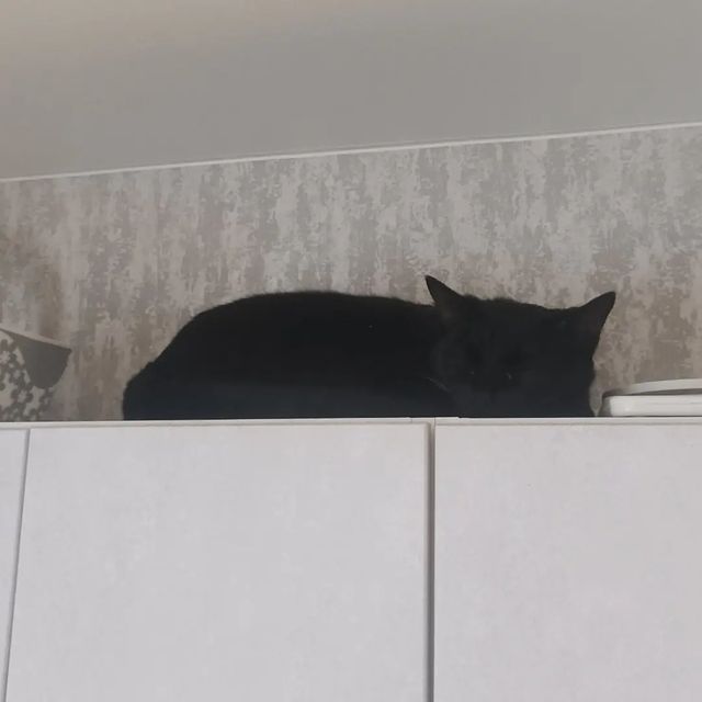 mihachar в LOOKY. . Новое место для отды...