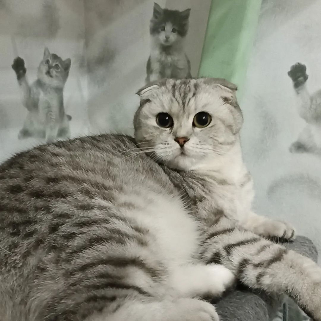 zhannamustakaeva