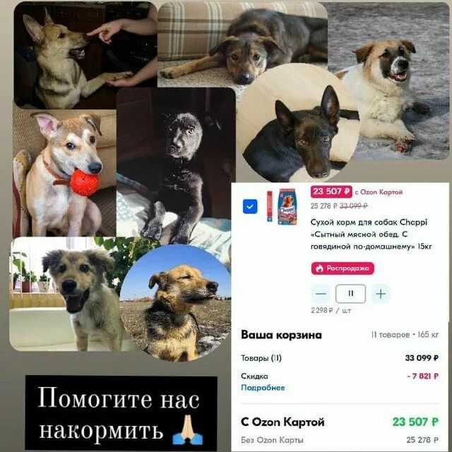 СЧАСТЬЕ  вдобрыеруки в LOOKY — фото 1