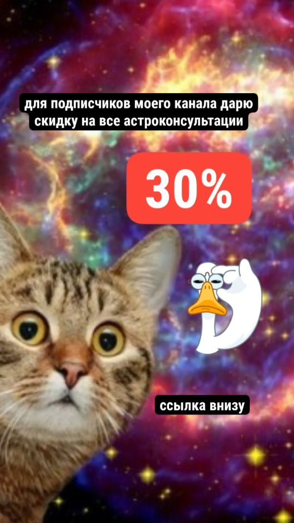 kris_probiz в LOOKY. #праздник,#весна,#астрология,#счастье,#солнце. ✨Поздравляю всех с п...