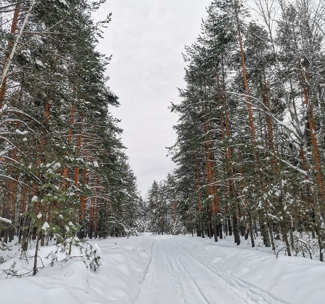 wonders_of_russia в LOOKY. #зима,#весна,#лес,#природа,#россия,#прогулка,#снег,#деревья,#лайк,#природароссии,#владимир,#фотонателефон,#фотодня,#красиво,#nature,#russia,#worldnature,#photos,#park,#forest,#best,#city,#like,#cool,#winter,#snow. ❄️🌲📸Зиме говорим д...