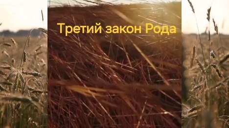zherdeva_rod в LOOKY. . Закон порядка в родо...