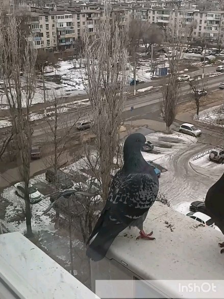 yuliam_mr in LOOKY. #вид,#весна,#Волгоград,#москва. А из нашего окна...
...