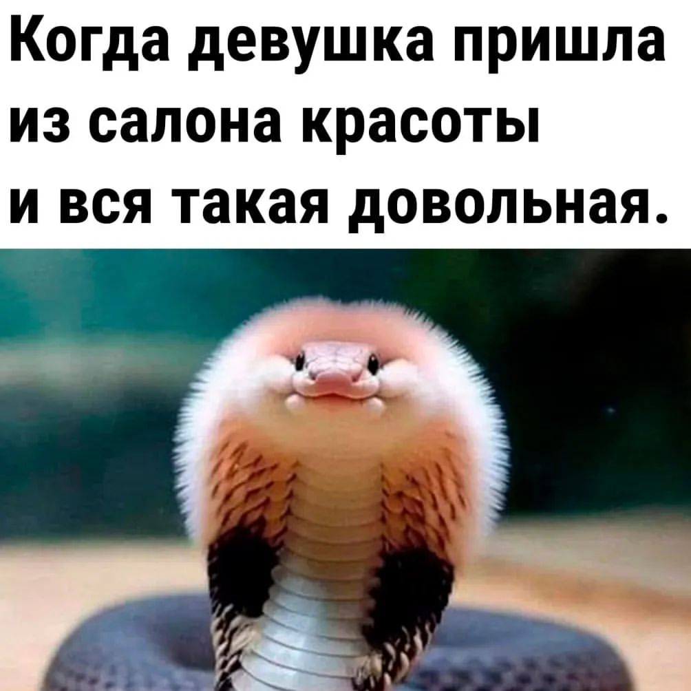 tapki_po_pochte1 в LOOKY — фото 4