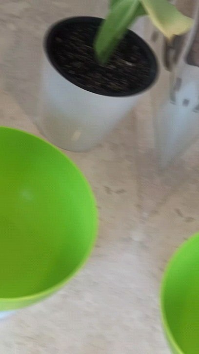 gulzina_myrzaeva в LOOKY. . ✅Эски ырлар рекке чы...