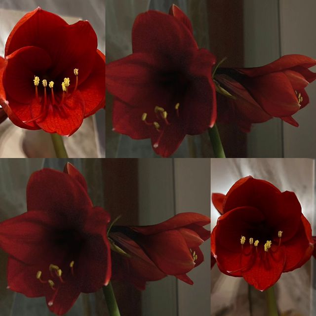 nasibullina.yuliya in LOOKY. . Услада, для моих гла...