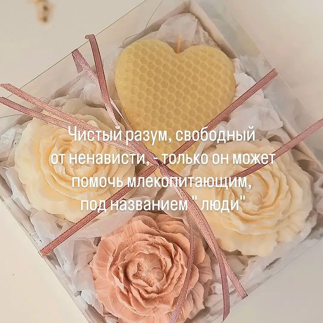 ox_zorya в LOOKY. . null