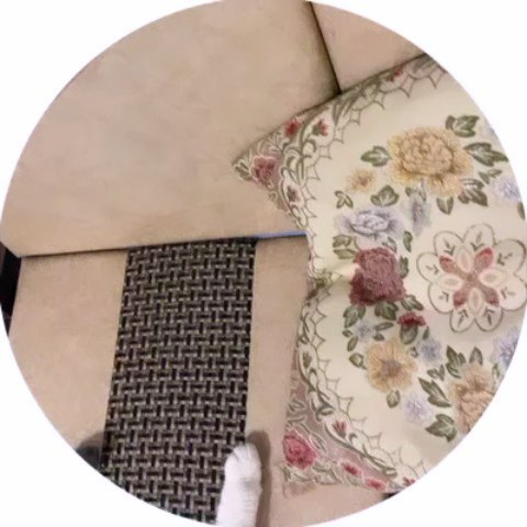 it.kotik в LOOKY. #кот,#коттихон. Утреннее заботство. ...