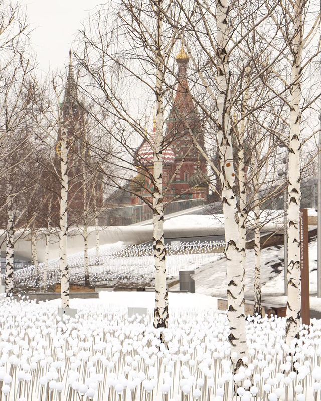 tanechka311 в LOOKY. . null