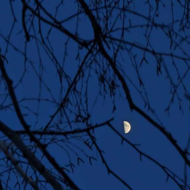 beast_coolfire в LOOKY. . null