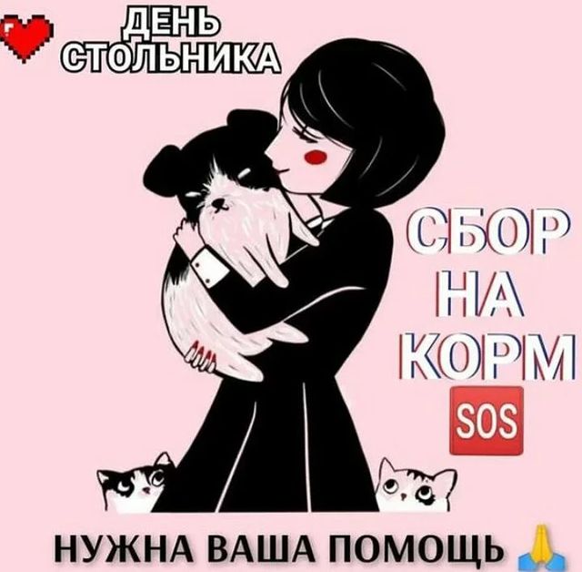 СЧАСТЬЕ  вдобрыеруки в LOOKY. #помощьживотным,#нужендом,#вдобрыеруки,#кошкаищетдом,#кошка,#cat,#собака,#срочно,#отдамвдобрыеруки,#доброедело,#кошкавдобрыеруки,#нужнапомощь,#бездомныеживотные,#ищетдом,#благотворительность,#помощьсобакам,#щенки,#собакадругчеловека,#помощьбездомнымживотным,#приют,#помощьбездомнымсобакам,#верныйдруг,#помощь,#деньстольника,#смирупонитке,#приютдляживотных,#помогиприюту. 🔴🔴🔴

Корм 🐶 почт...