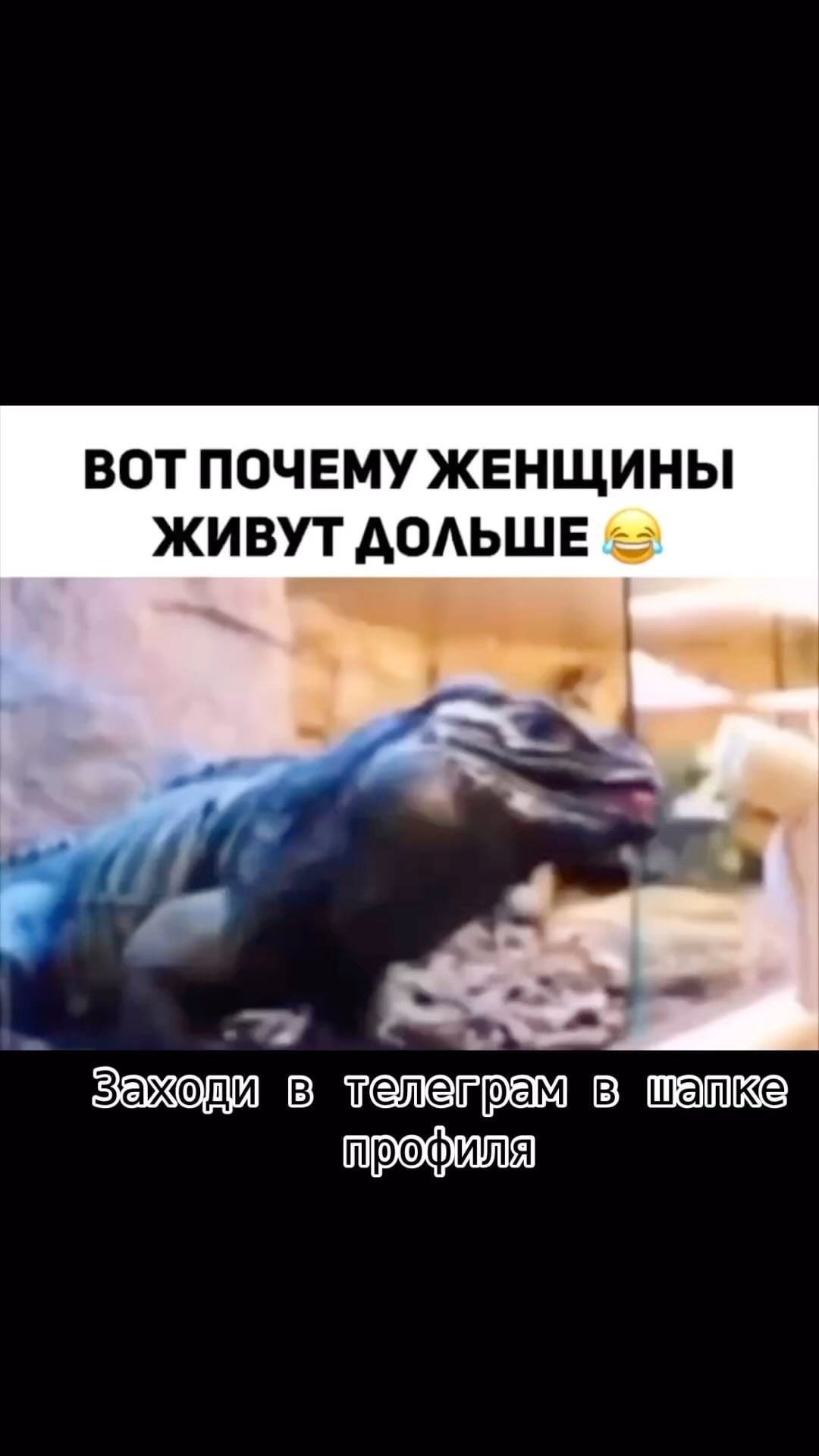 ehablia7 в LOOKY. #юмор,#приколы,#смех. Приколы про мушин #ю...