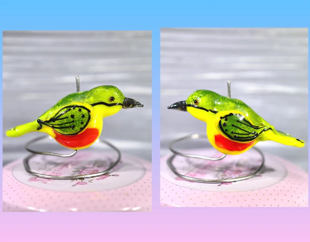 magicdancingglass в LOOKY — еще птички