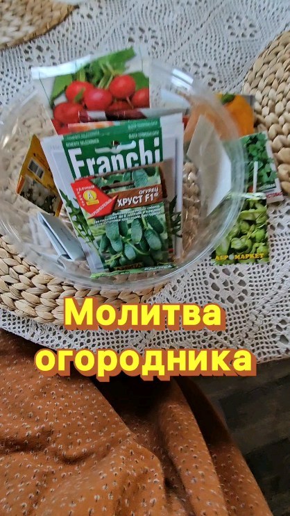 moya_zagorodnaya_zhizn в LOOKY. #жизньвдеревне,#огород,#семена,#хапун,#строимдомсами,#сажаемогород,#семенафранчи,#franchi,#рассада,#залотойзапас,#молитваогородника. Опять весна. Молитва...