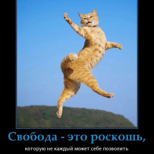 tatiana_esipova1990 в LOOKY — Роскошь — это не помады 💄 , не рестораны и не шпильки 👠. Н