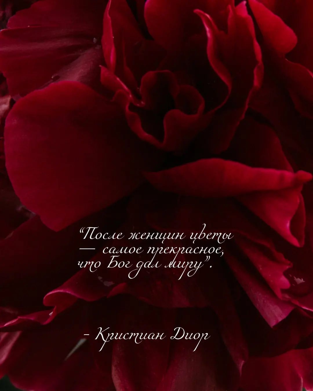 goryacheva.brand в LOOKY — публикация