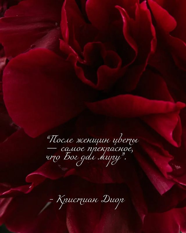 goryacheva.brand в LOOKY. . null