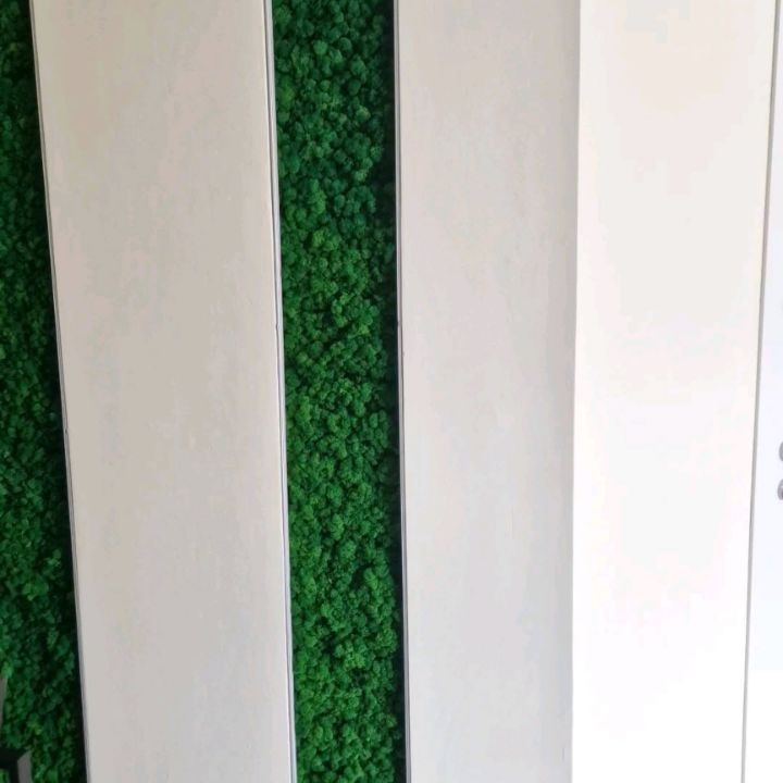 fitodecor в LOOKY. #Стабилизированныймох-. КАК ОЗЕЛЕНИТЬ НИШУ -...