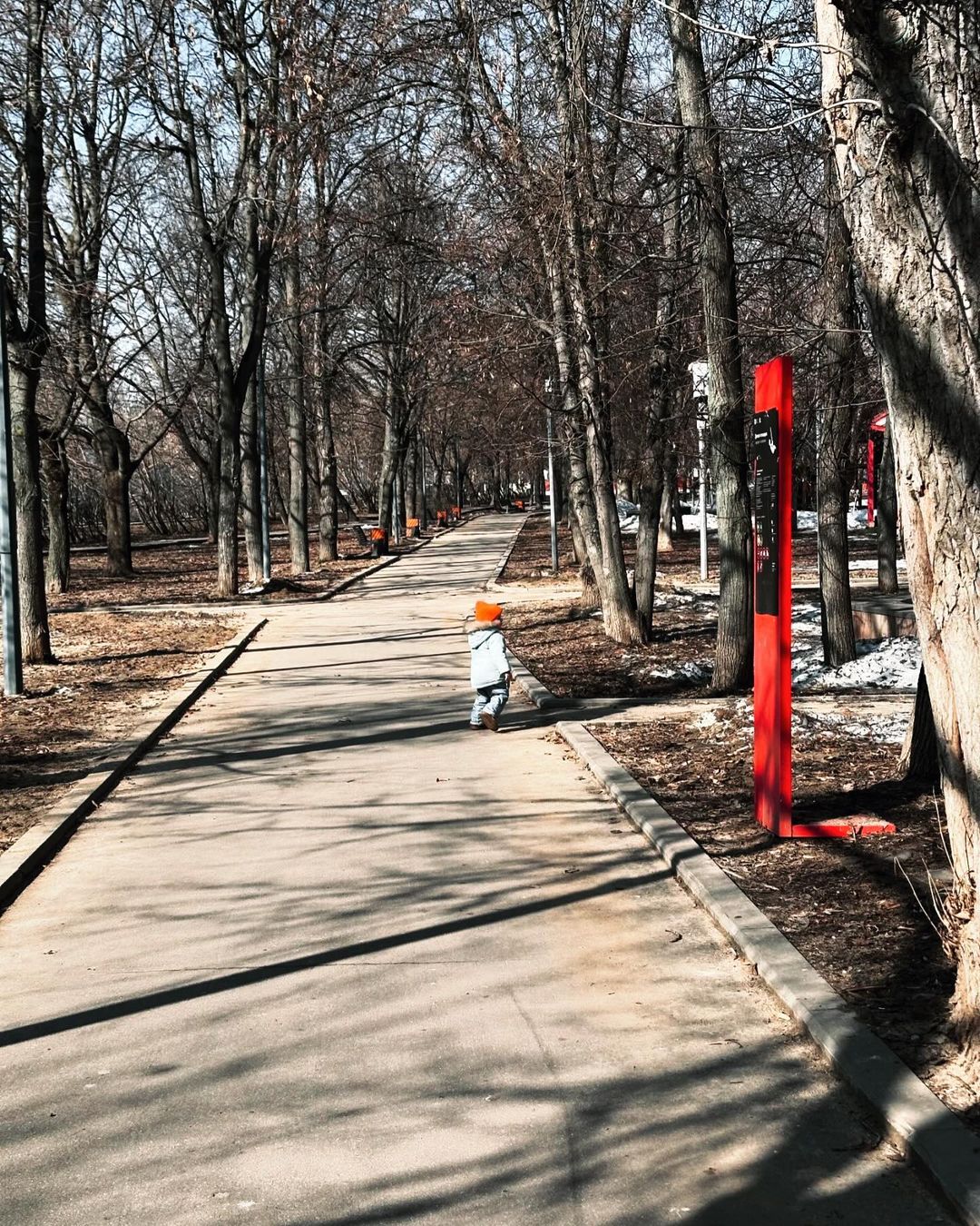 xandervic в LOOKY — Чуть-чуть 🤏 ярких красок раней весной от @arinakotova