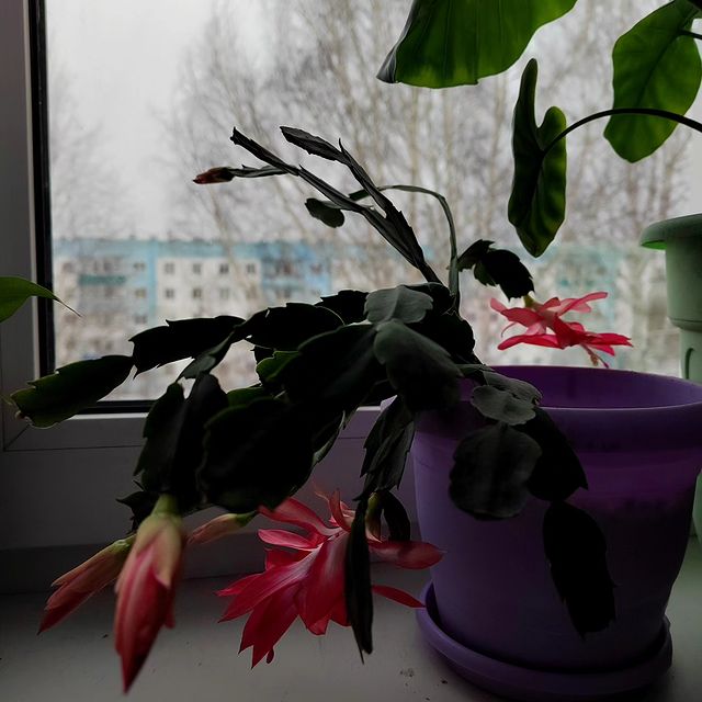 nasibullina.yuliya in LOOKY. . null