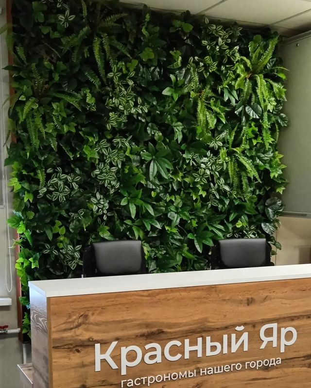 fitodecor в LOOKY. . ОЗЕЛЕНЕНИЕ  БЕЗ ДОПО...