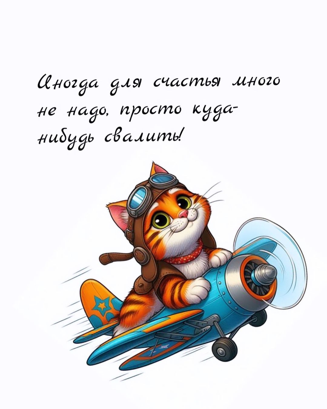 n_mary90 в LOOKY — Надо свалить ☝🏼😅 #мемы😂 #смех #смешно #котыприколы #прико