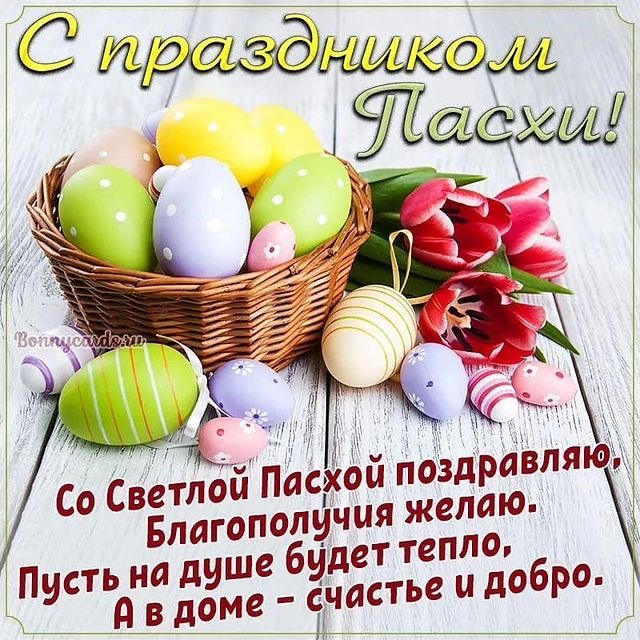 nastya_leonik в LOOKY. #пасха,#пасха2024,#весна,#март,#семья,#поздравление,#светлойпасхи,#католическаяпасха. Всех католиков с пра...