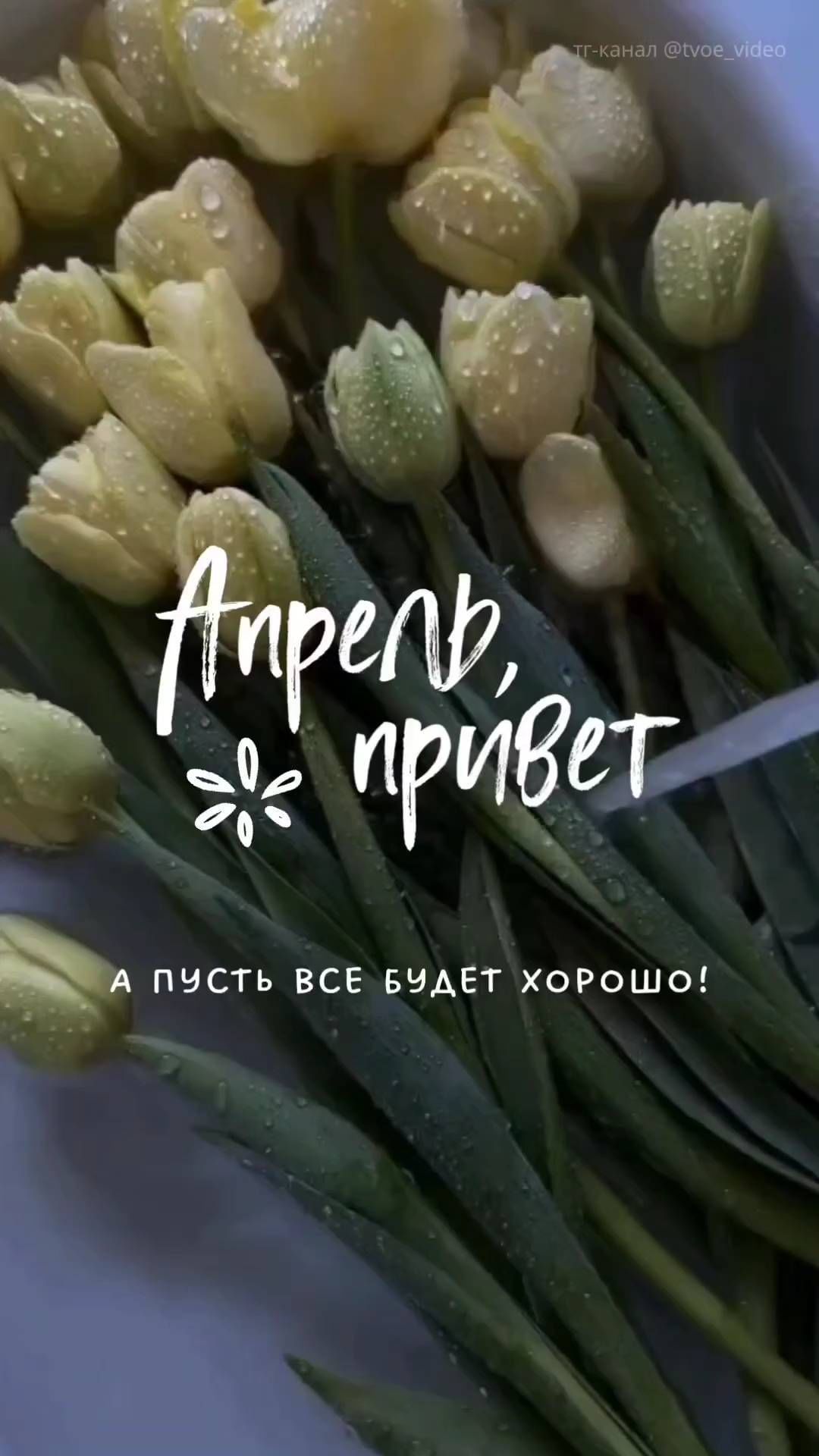 annazackharowa в LOOKY. . null