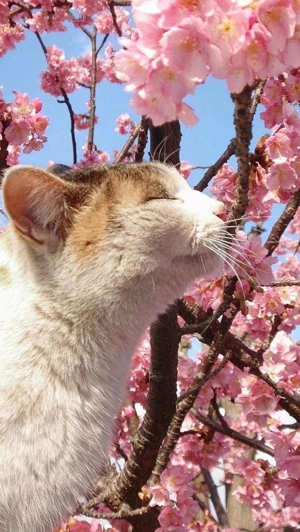 reginazifur in LOOKY. #нумёд,#грязюка. Весна 🥰Не сидите до...