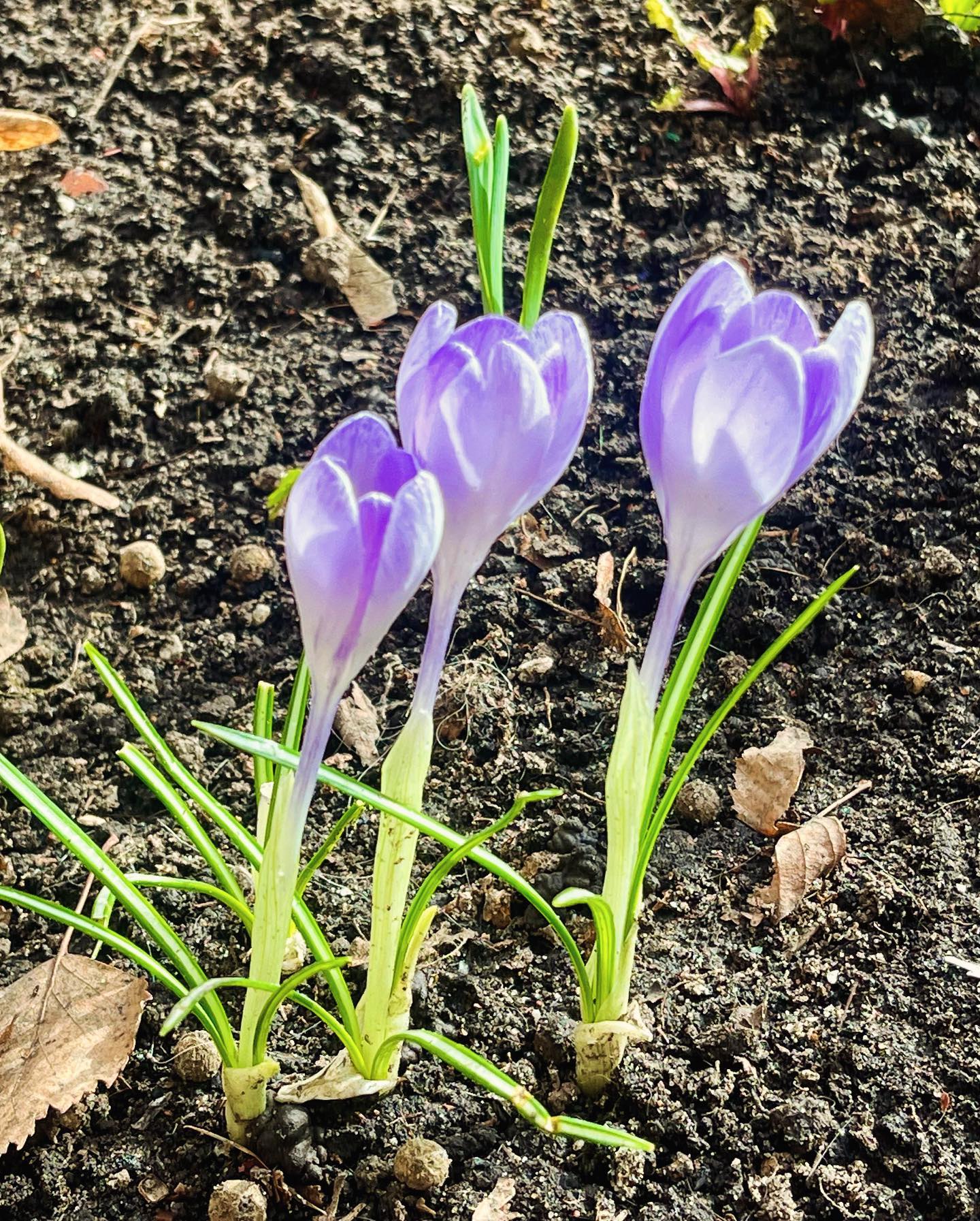 darianikolaeva115 в LOOKY — фото 2