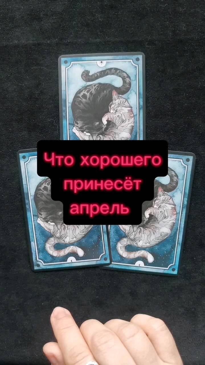 taro_helpme в LOOKY. . Ставь 💞