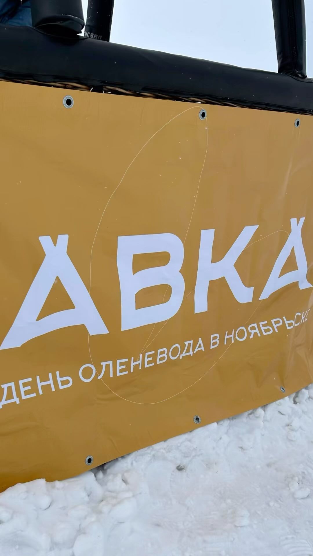 ekatpetrova в LOOKY. #Полетели72,#авка,#Авка2024,#деньоленевода. Праздник «день Олене...