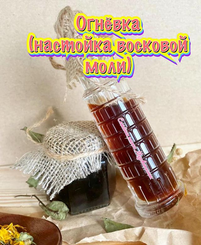 honey_volgograd34 в LOOKY. #мёд#,#схи,#настойкавосковоймоли,#волгоград,#родниковаядолинаволгоград,#родниковаядолина,#комарововолгоград,#аграрныйуниверситет. Восковая моль - изве...