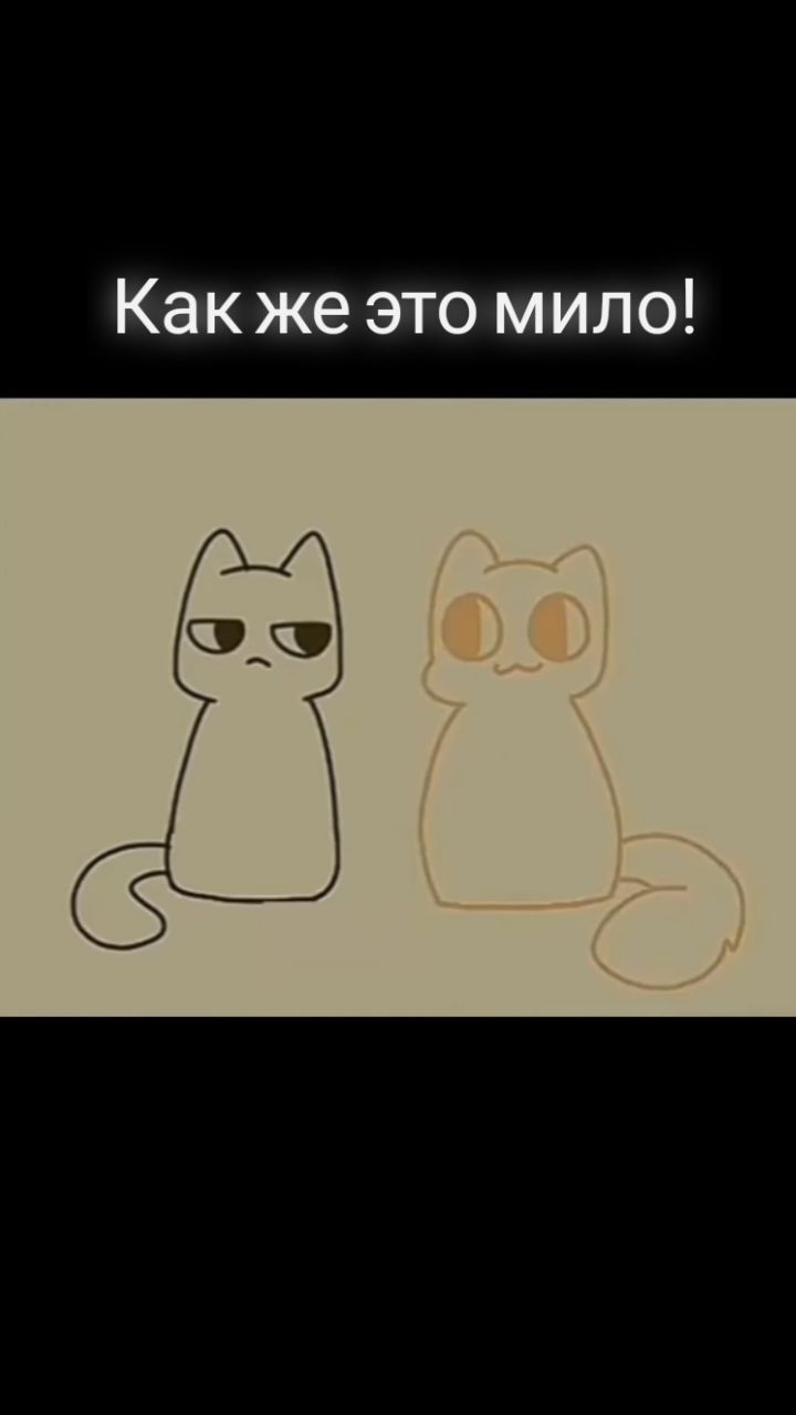 kaloidkksposu in LOOKY. . null
