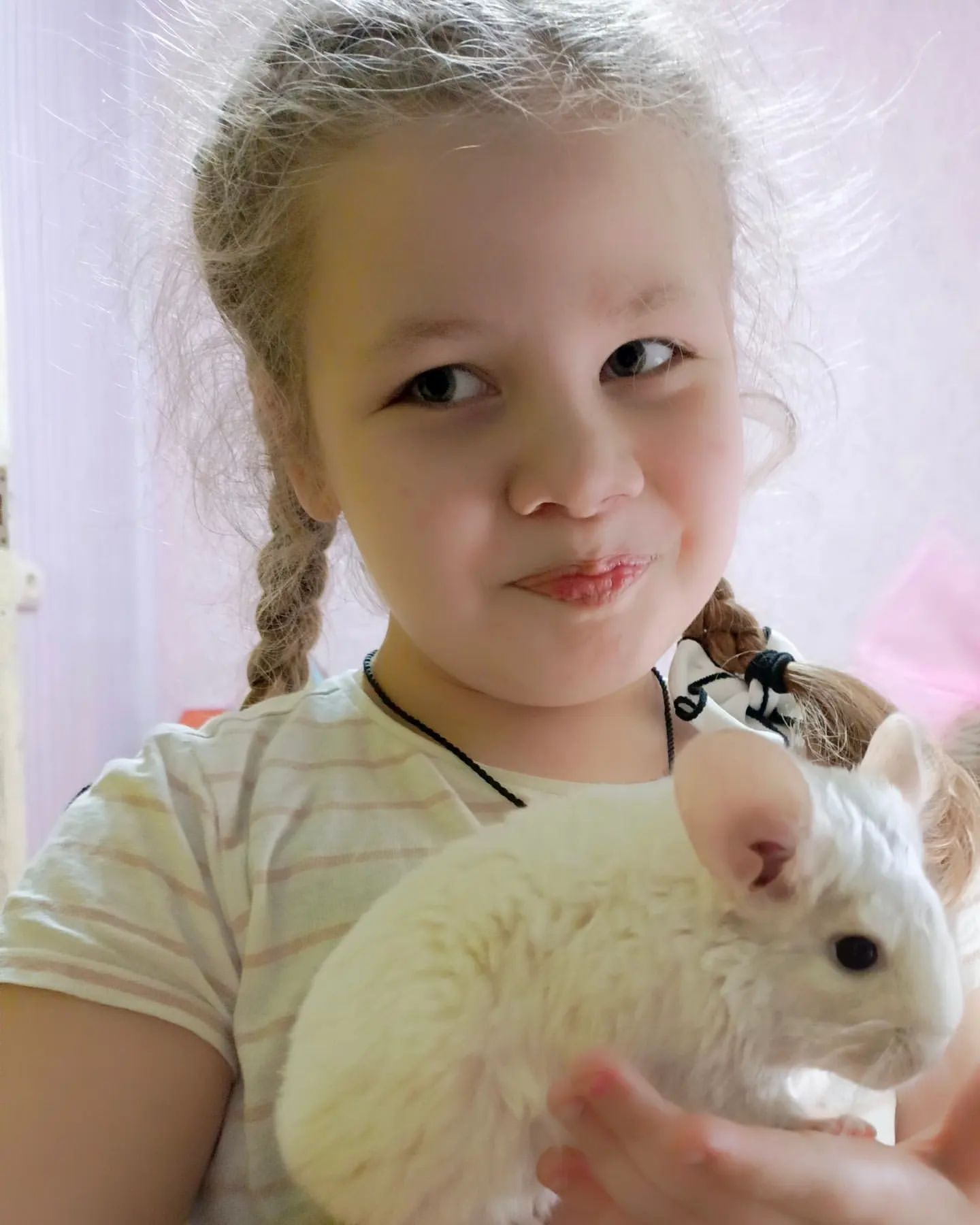 tato4kaprozorova в LOOKY. #Сонечка🫶,#шиншила🐭,#Шунька#,#любимыепитомцы🐾. #Сонечка🫶 #шиншила�...