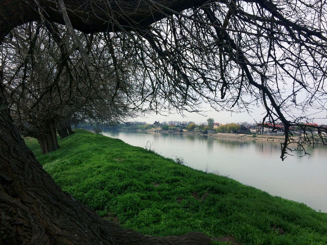sanazarenko in LOOKY. #Краснодар,#Krasnodar,#КРД,#KRD. #Краснодар #Krasnoda...