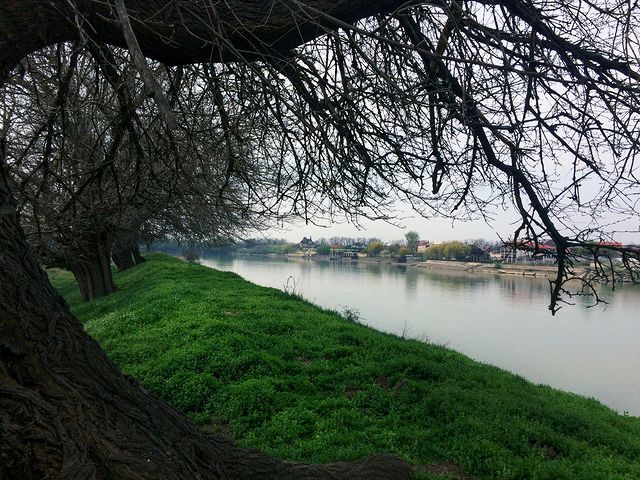 sanazarenko в LOOKY. #Краснодар,#Krasnodar,#КРД,#KRD. #Краснодар #Krasnoda...