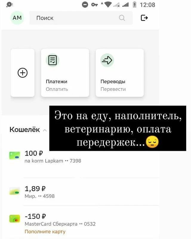 СЧАСТЬЕ  вдобрыеруки в LOOKY. #помощьживотным,#нужендом,#вдобрыеруки,#кошкаищетдом,#кошка,#cat,#собака,#срочно,#отдамвдобрыеруки,#доброедело,#кошкавдобрыеруки,#нужнапомощь,#бездомныеживотные,#ищетдом,#благотворительность,#помощьсобакам,#щенки,#собакадругчеловека,#помощьбездомнымживотным,#приют,#помощьбездомнымсобакам,#верныйдруг,#помощь,#деньстольника,#смирупонитке,#приютдляживотных,#помогиприюту. 🆘 Нужна помощь на с...