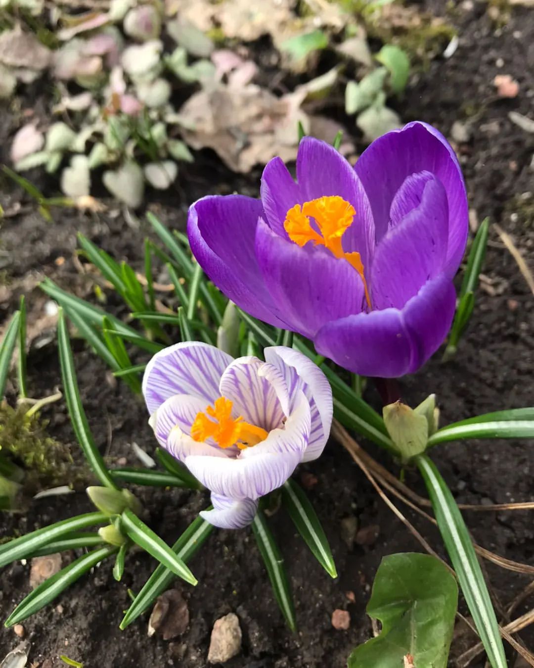🌸 Весна наступила, а вместе с ней и апрель - месяц возрождения и новых возможностей! Если ты хочешь сделать этот месяц действительно особенным, то этот пост для тебя. 💪

Вначале давай поздравим себя с прошедшими достижениями - это поможет нам начать новый месяц с положительными эмоциями! 🎉 А теперь переходим к самому интересному - чем заняться в апреле?

1️⃣ Воспользуйся этим временем для того, чтобы обновить свой гардероб. 🛍️ Ищи вдохновение в модных журналах, следи за трендами и добавь немного стильности в свою повседневную жизнь!

2️⃣ Апрель - отличное время для того, чтобы позаботиться о своем здоровье. 🏋️‍♂️ Начни регулярные тренировки, которые помогут тебе поддерживать форму и ощущать себя замечательно. И не забывай про здоровое питание - это ключ к энергии и хорошему самочувствию!

3️⃣ Разнообразь свои хобби. 🎨 Попробуй себя в новом виде искусства или освой новый музыкальный инструмент. Это поможет тебе раскрыть новые таланты и развить свою креативность. 

4️⃣ Не забудь про природу! 🌳 Апрель - идеальное время для пикников и прогулок на свежем воздухе. Насладись красотами окружающего мира, расслабься и отдохни от городской суеты.

5️⃣ И наконец, не забывай про то, что апрель - это месяц новых начинаний. 💼 Если у тебя была давно задумка или идея, то самое время воплотить ее в жизнь. Действуй смело и не бойся рисковать!

Апрель - удивительный месяц, полный возможностей и приключений. Не упускай шансов, наслаждайся каждым моментом и помни - ты можешь достичь всего, чего захочешь! 💫