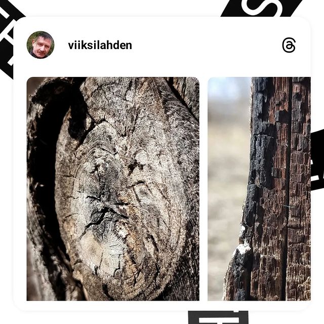 viiksilahden в LOOKY. . null